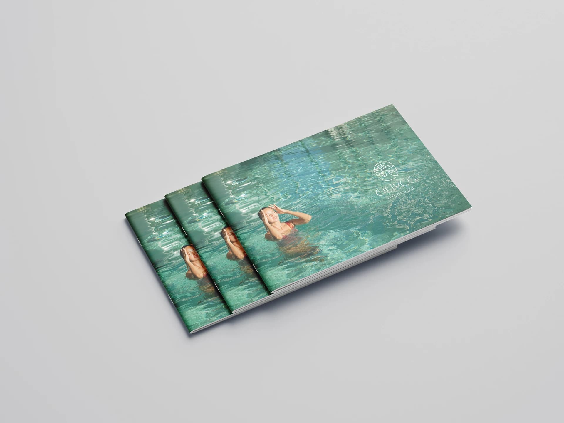 Branding Olivos — 1