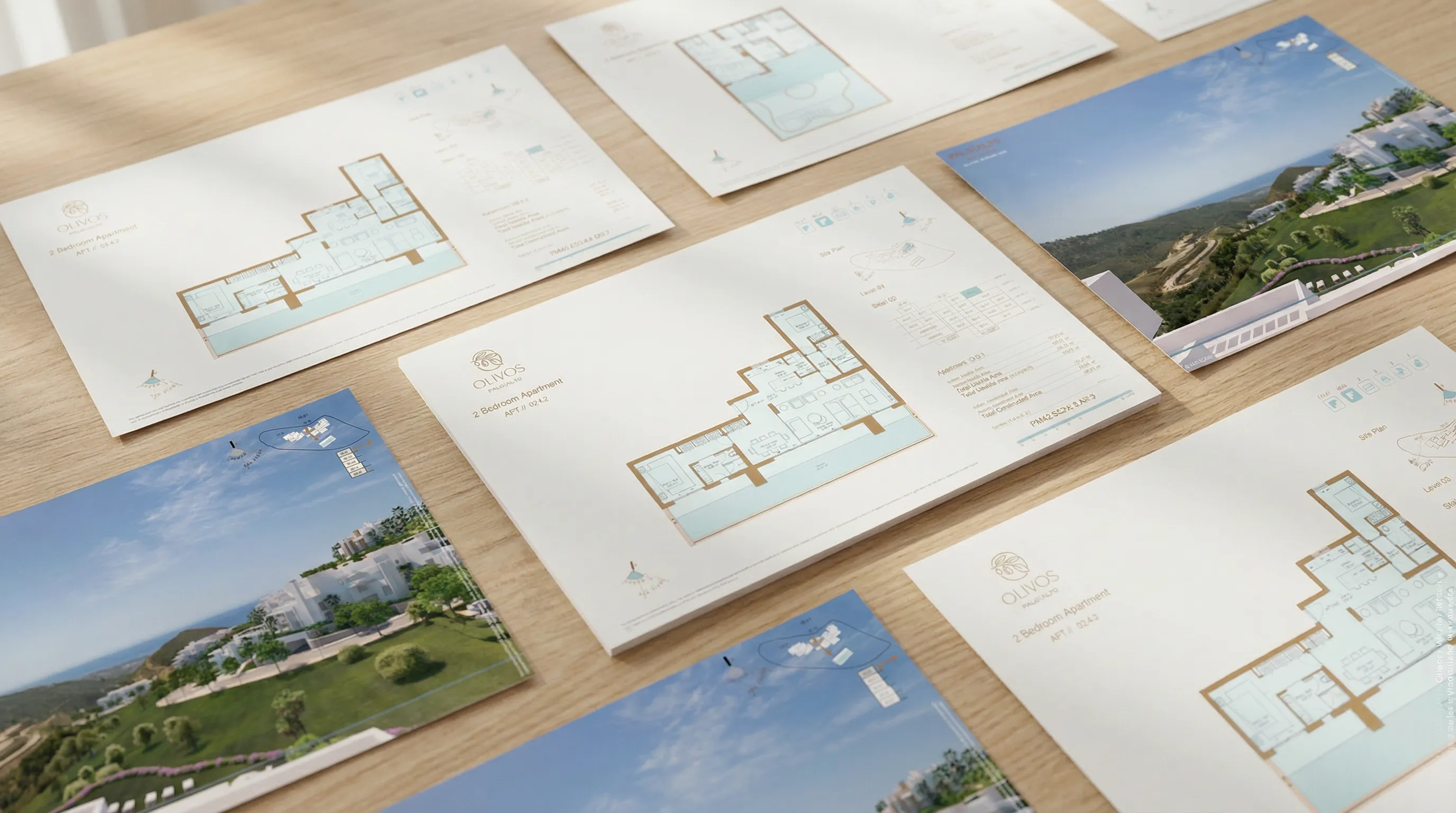 Branding Olivos — 2