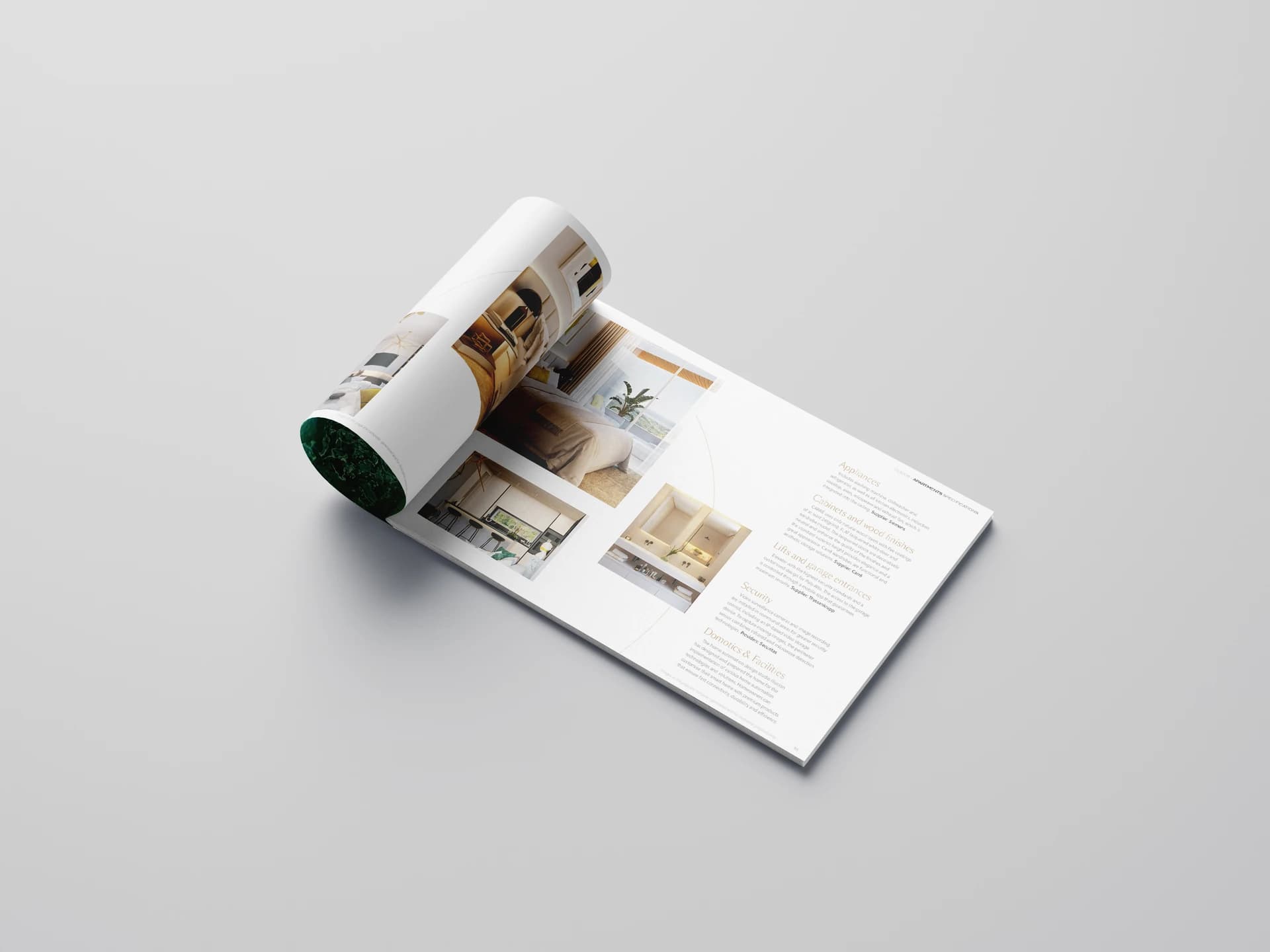 Branding Olivos — 3